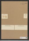 Asteromphalus elegans Grev. (de-Toni-Nr.: Genus 236, Species 5693) Zeichnungen Sammlung Grunow Nr. 9691 (NHMW-BOT-W0379631)